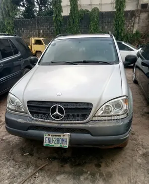 Mercedes-Benz M Class 2002 Silver