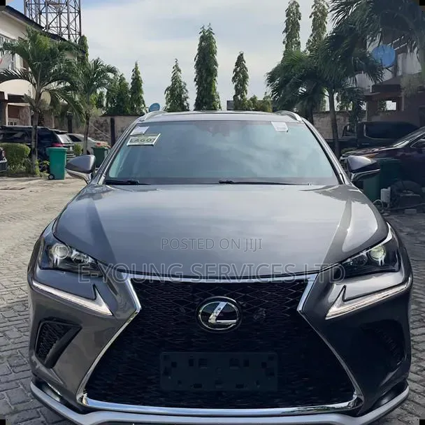 Lexus NX 2017 Gray