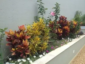 Landscaping Design