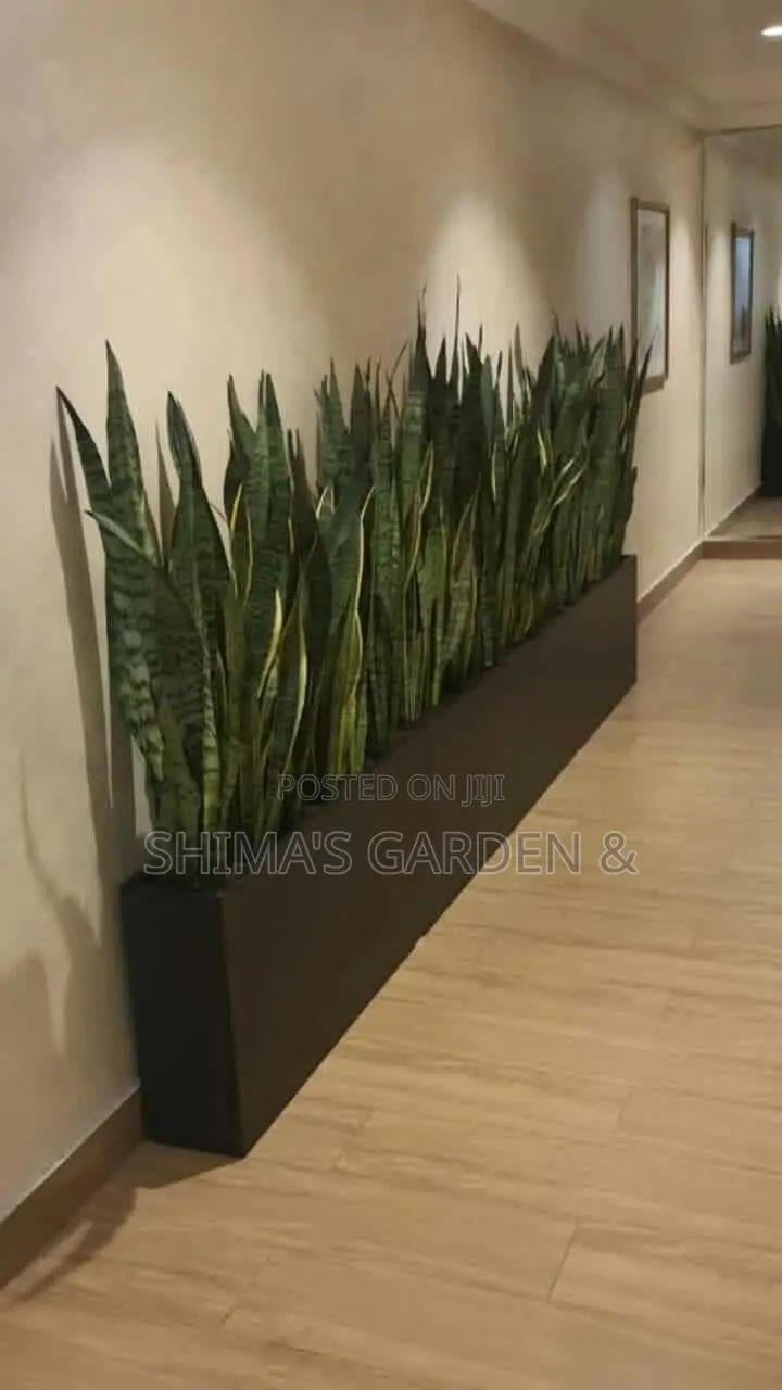 Landscaping Design
