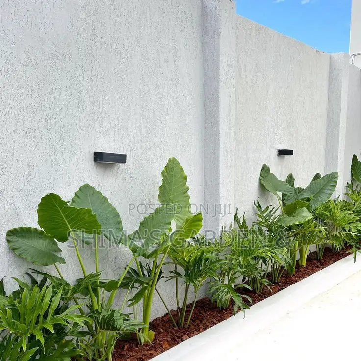 Landscaping Design