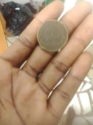 Old Nigeria Coin