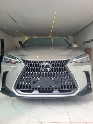 Lexus NX 2024 Gray