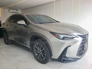 Lexus NX 2024 Gray