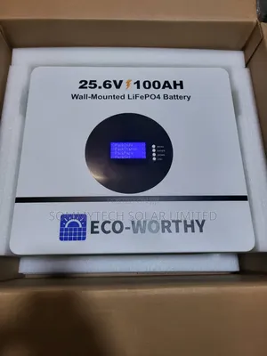 2.5kwh _24veco Worthy Luthiun Ion Battery