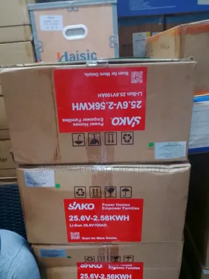 2.5kwh_24v Sako Luthiun Ion Battery