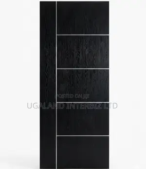 Matte Black Interior Door