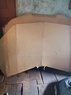 2016,2017 Ford Explorer Hood/Bonet