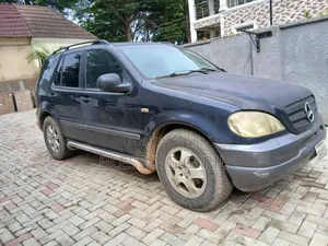 Mercedes-Benz M Class 2001 Gray