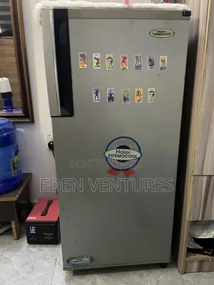 Haier Thermocool Fridge