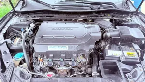Honda Accord EX-L V-6 4dr Sedan FWD (3.5L 6cyl 6A) 2013 Blue