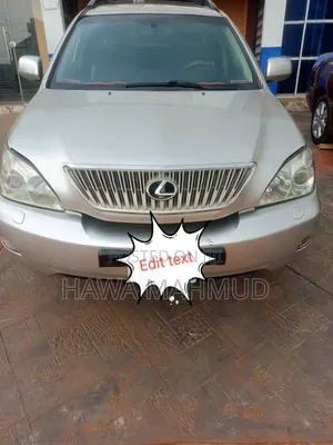 Lexus RX 330 2005 Silver