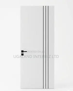 Modern White Door
