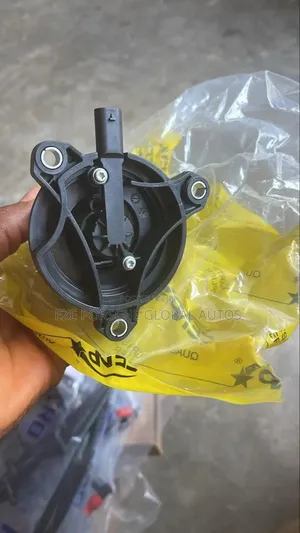 Engine Thermostat Bentley