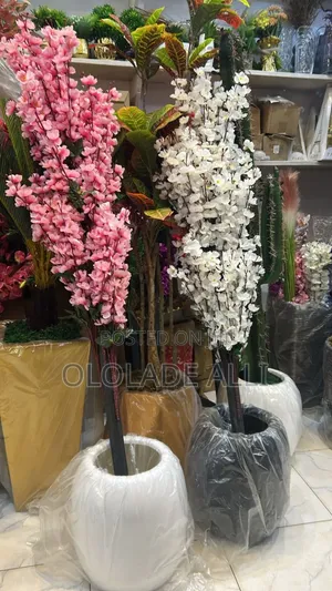 Fibre Vase and Double Trunk Cherry Blossom