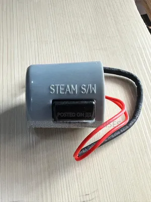 Iron Steam Switch