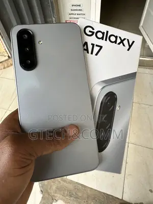 Samsung Galaxy A17 128 GB Gray