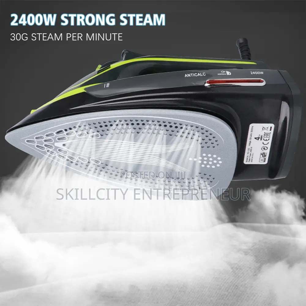 2246 Avinas Steam Iron