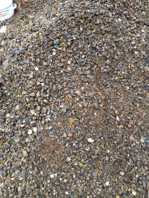 Palm Kernel Shell