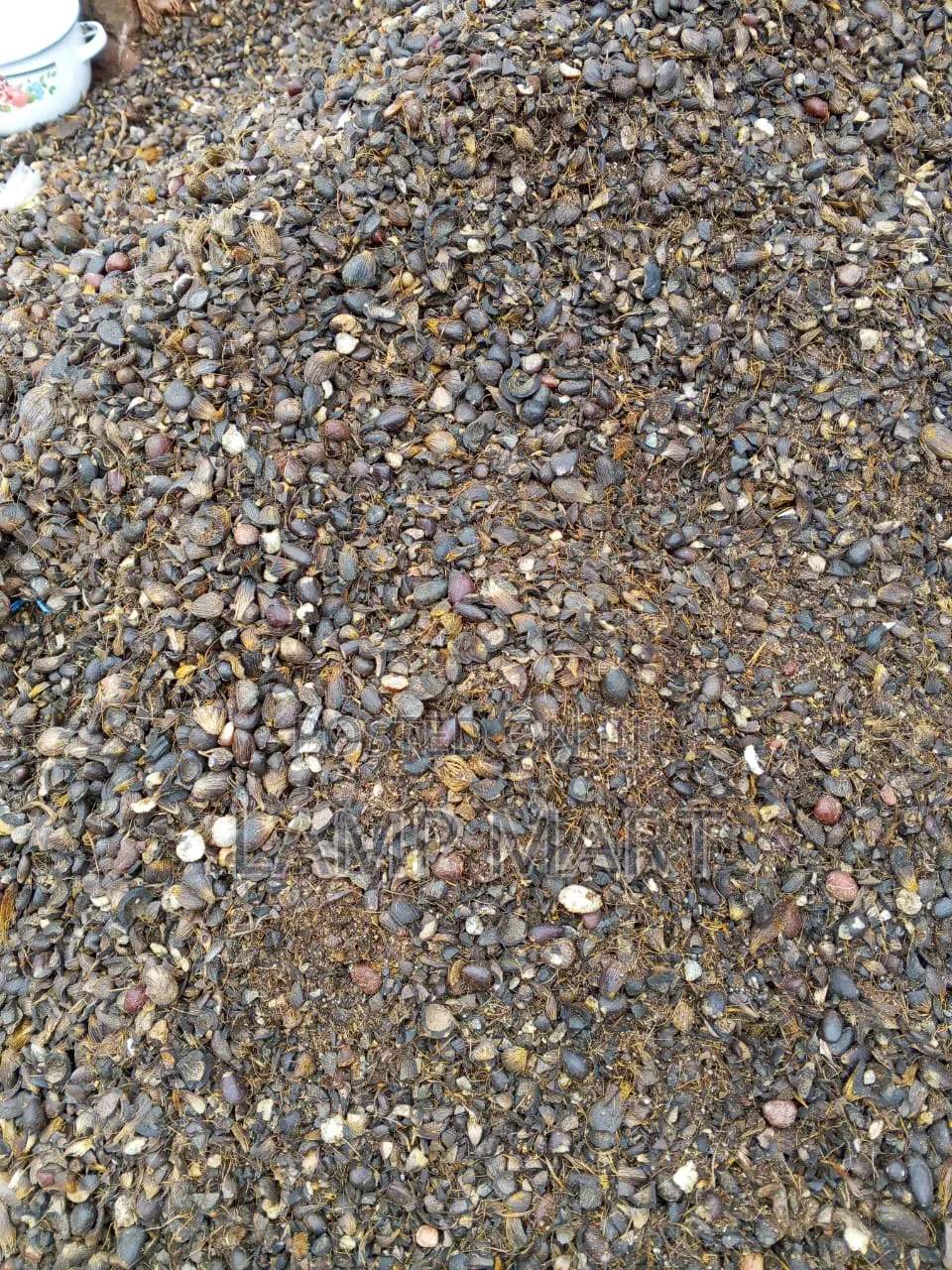Palm Kernel Shell