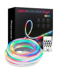 Rgbic Led Neon Flex Strip – With Music Feature