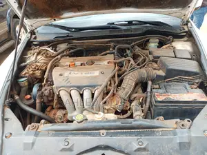 Honda Accord 2005 White