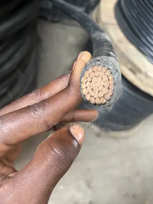 Nigerchin 300mm Cu PVC/PVC