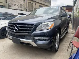 Mercedes-Benz M Class 2015 Gray