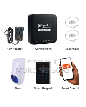 Hybrid Alarm System