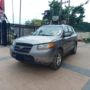 Hyundai Santa Fe 2008 Blue
