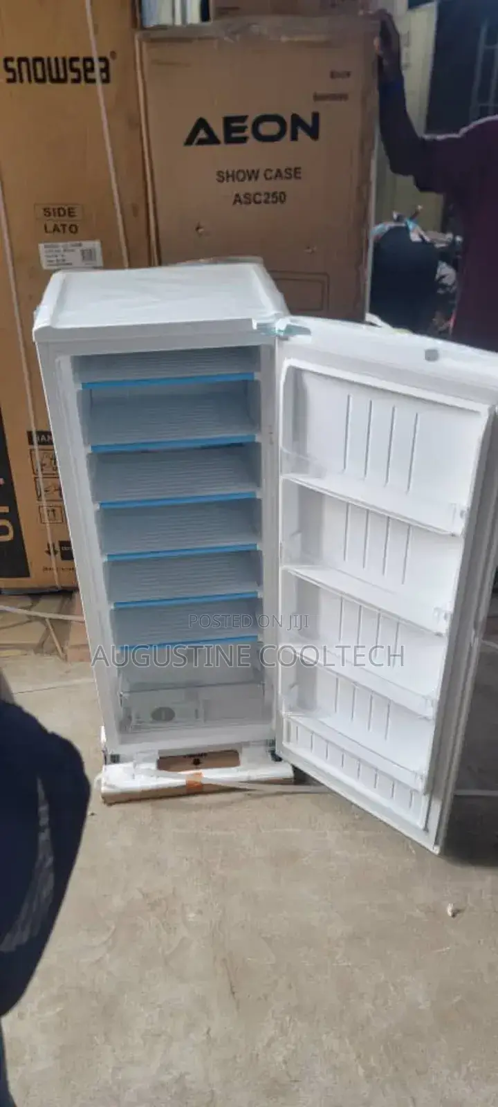 Upright Freezer