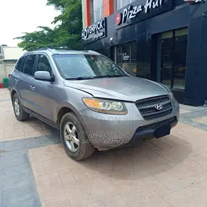 Hyundai Santa Fe 2008 Blue