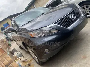 Lexus RX 2010 Gray