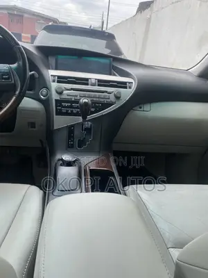 Lexus RX 2010 Gray