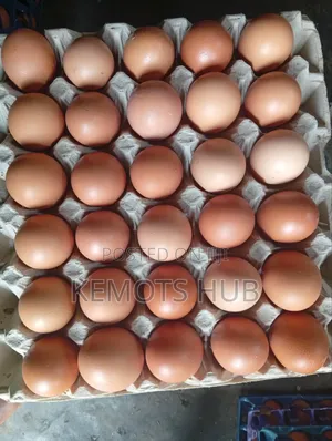 Table Eggs