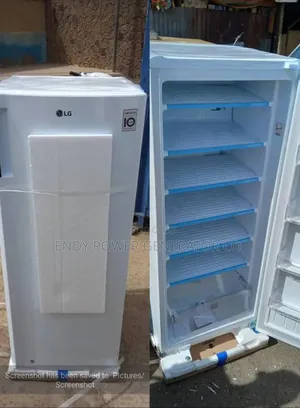 Original Lg Upright Freezer for Ice Block Making