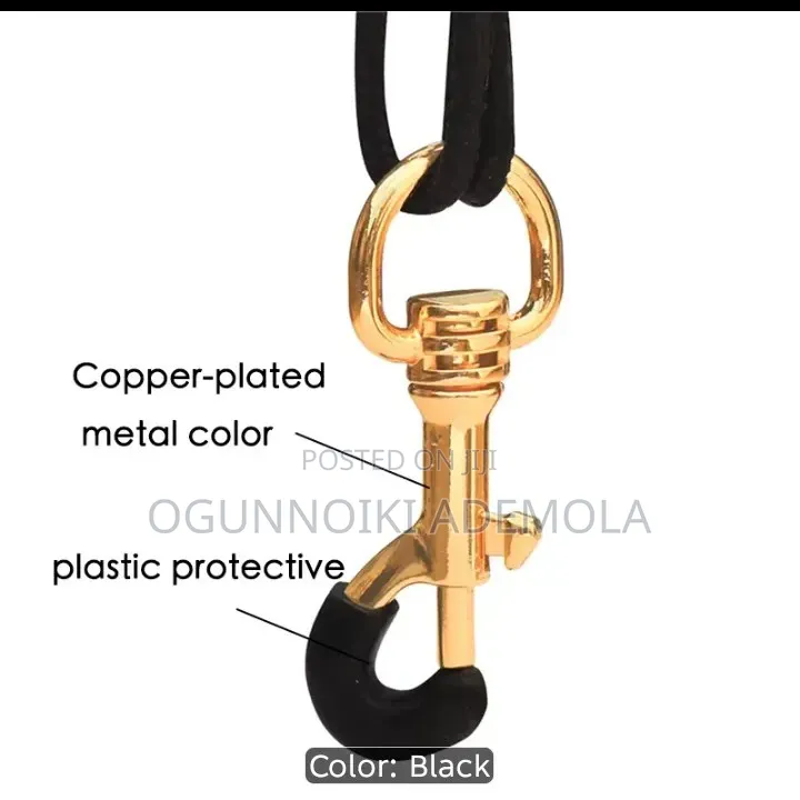 Saxophone Strap