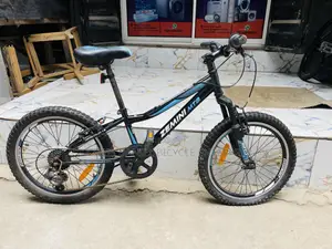 Size 20 Teenagers Bicycle / Working Perfectly/ Alaba International