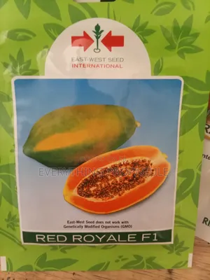 East-West Seed Red Royale F1 Papaya