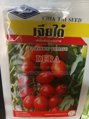 Chia Tai Seed F1 Hybrid Tomato – Dera