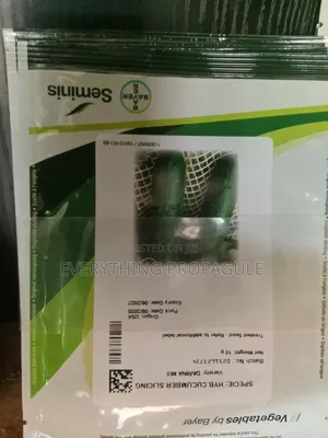 Seminis HVB Cucumber – Darana Mix (10g)