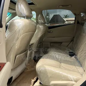 Lexus RX 2010 Black