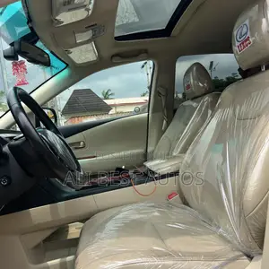 Lexus RX 2010 Black