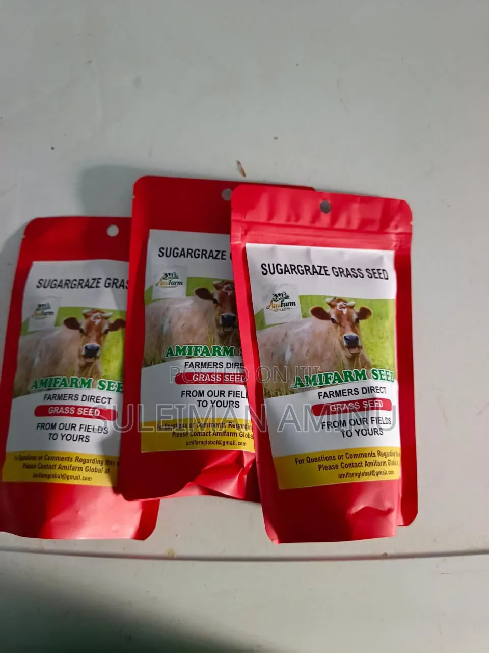 Sugargraze Grass Seed