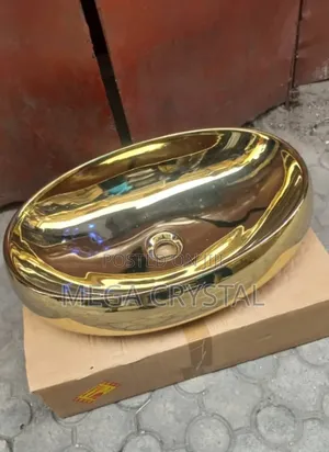 Toilet Basin