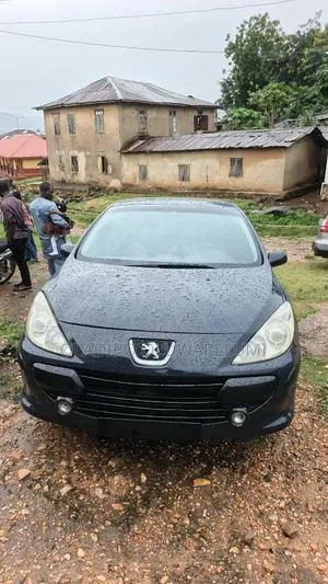 Peugeot 307 2008 Blue