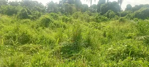 Residential Land for Sale