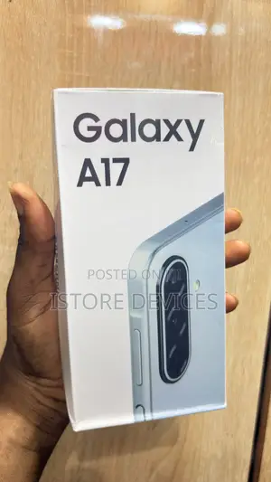 Samsung Galaxy A17 256 GB Gray