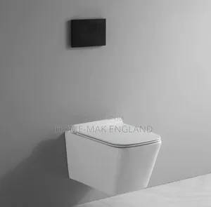 Wall Hung Wc