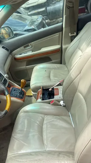 Lexus RX 330 2004